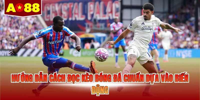 Hướng dẫn cách đọc kèo bóng đá chuẩn dựa vào biến động