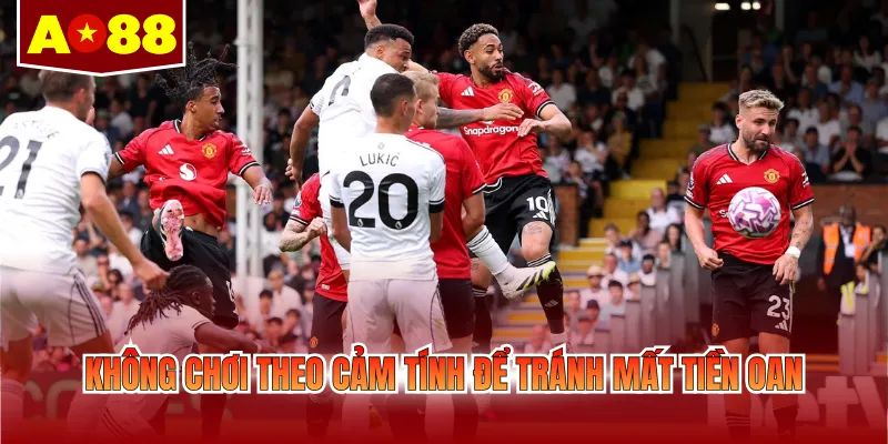 Không chơi theo cảm tính để tránh mất tiền oan